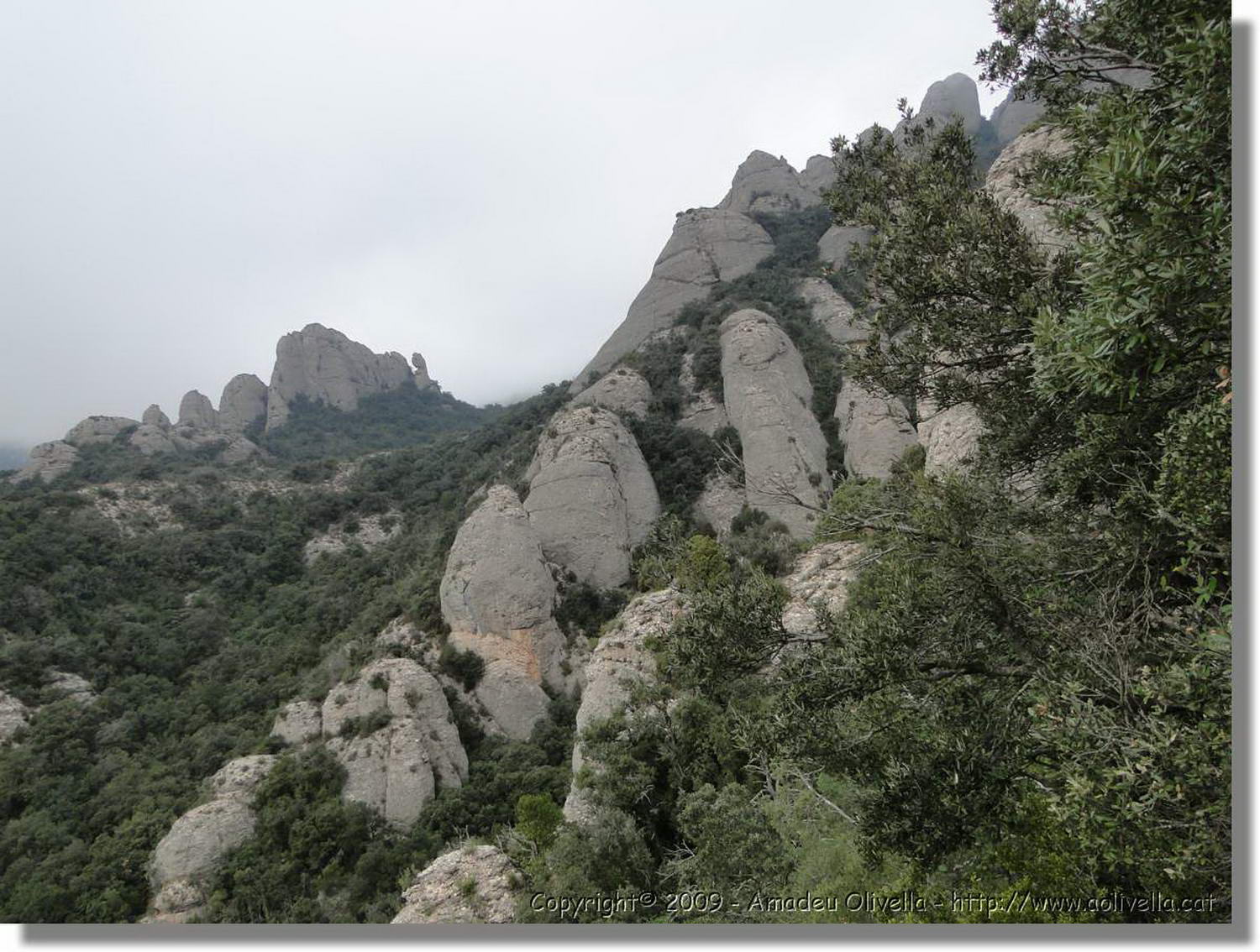 Montserrat_350.jpg