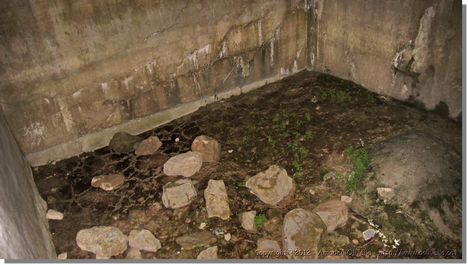 Mussara_018.jpg