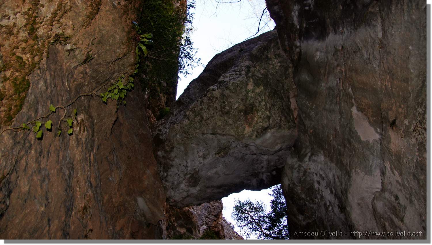 Mussara_026.jpg