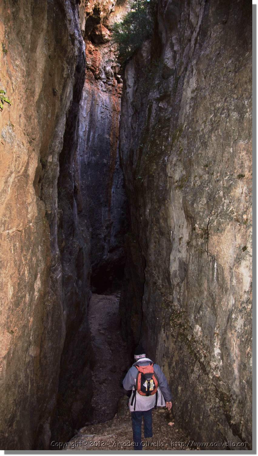 Mussara_027.jpg