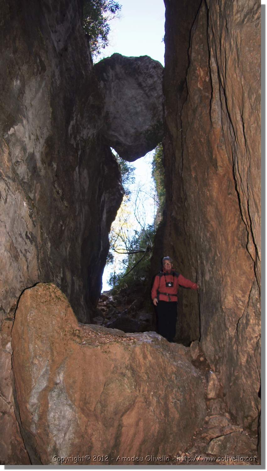 Mussara_029.jpg