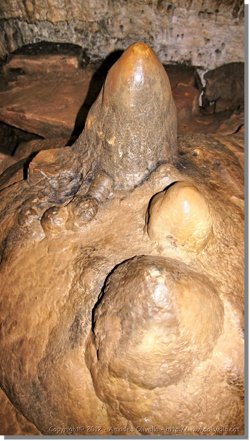 Mussara_052.jpg
