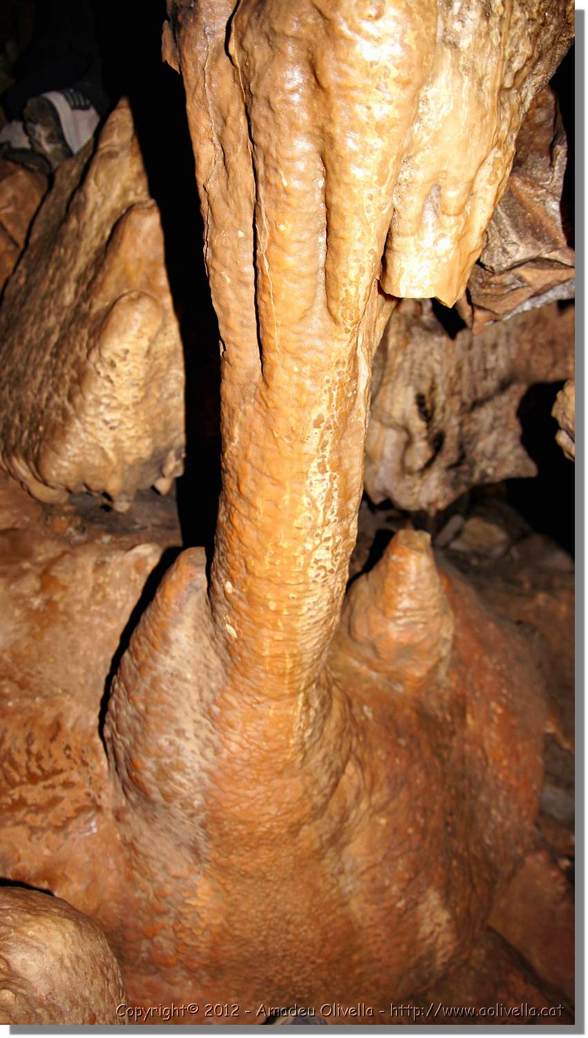 Mussara_058.jpg