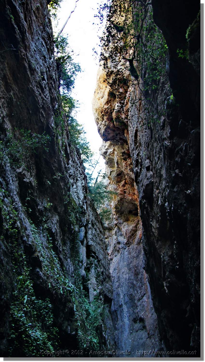 Mussara_071.jpg