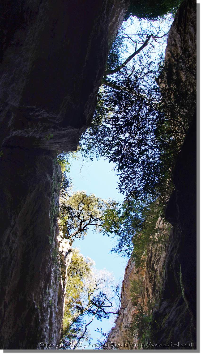 Mussara_072.jpg