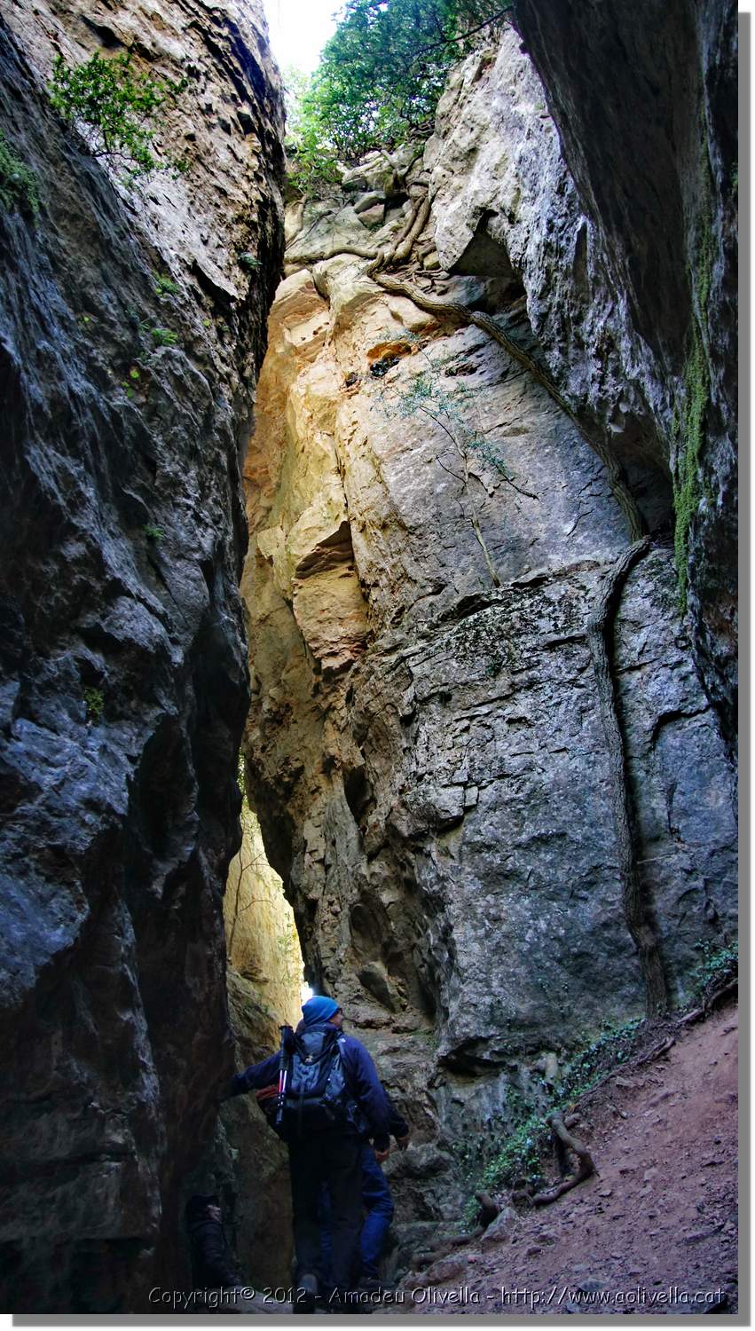 Mussara_073.jpg