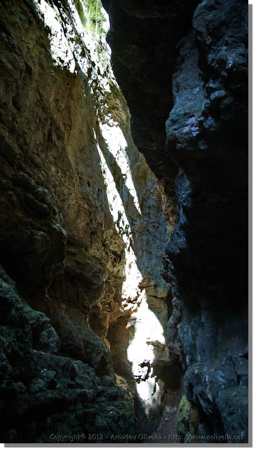 Mussara_083.jpg