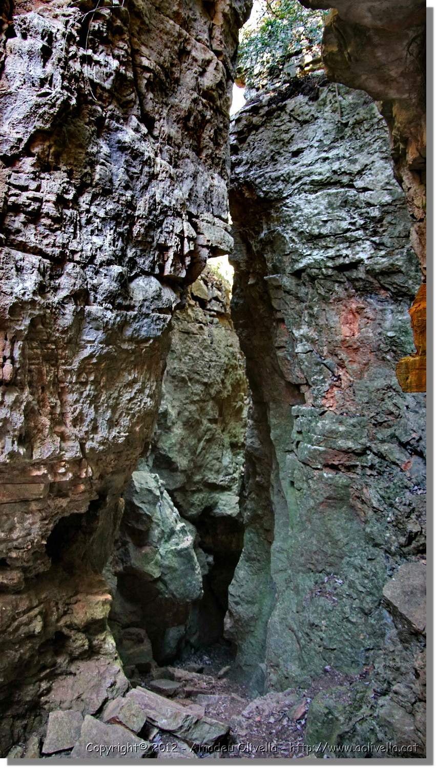 Mussara_092.jpg