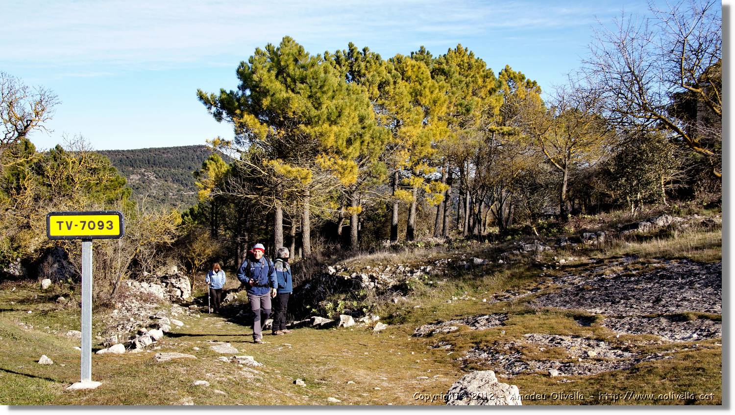 Mussara_137.jpg