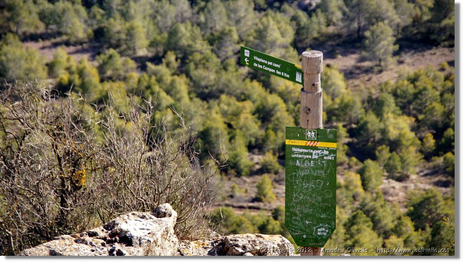 Mussara_144.jpg