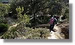 Llemena_054.jpg