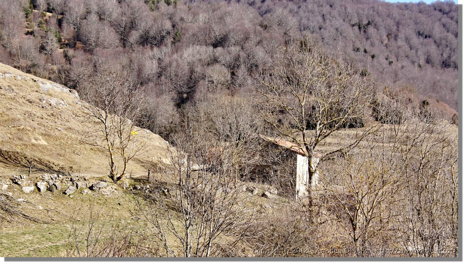 Milany_078.jpg