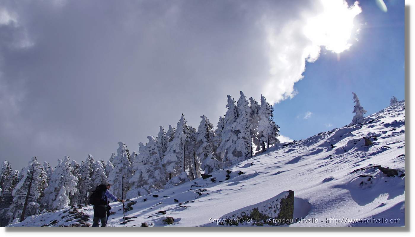 Moncayo_092.jpg