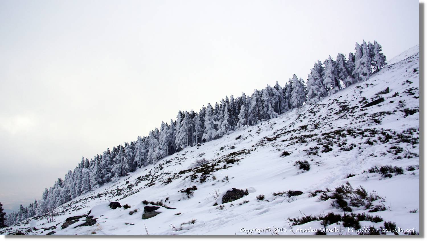 Moncayo_177.jpg