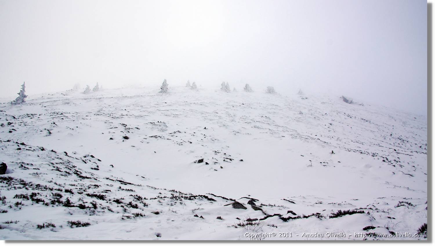 Moncayo_178.jpg