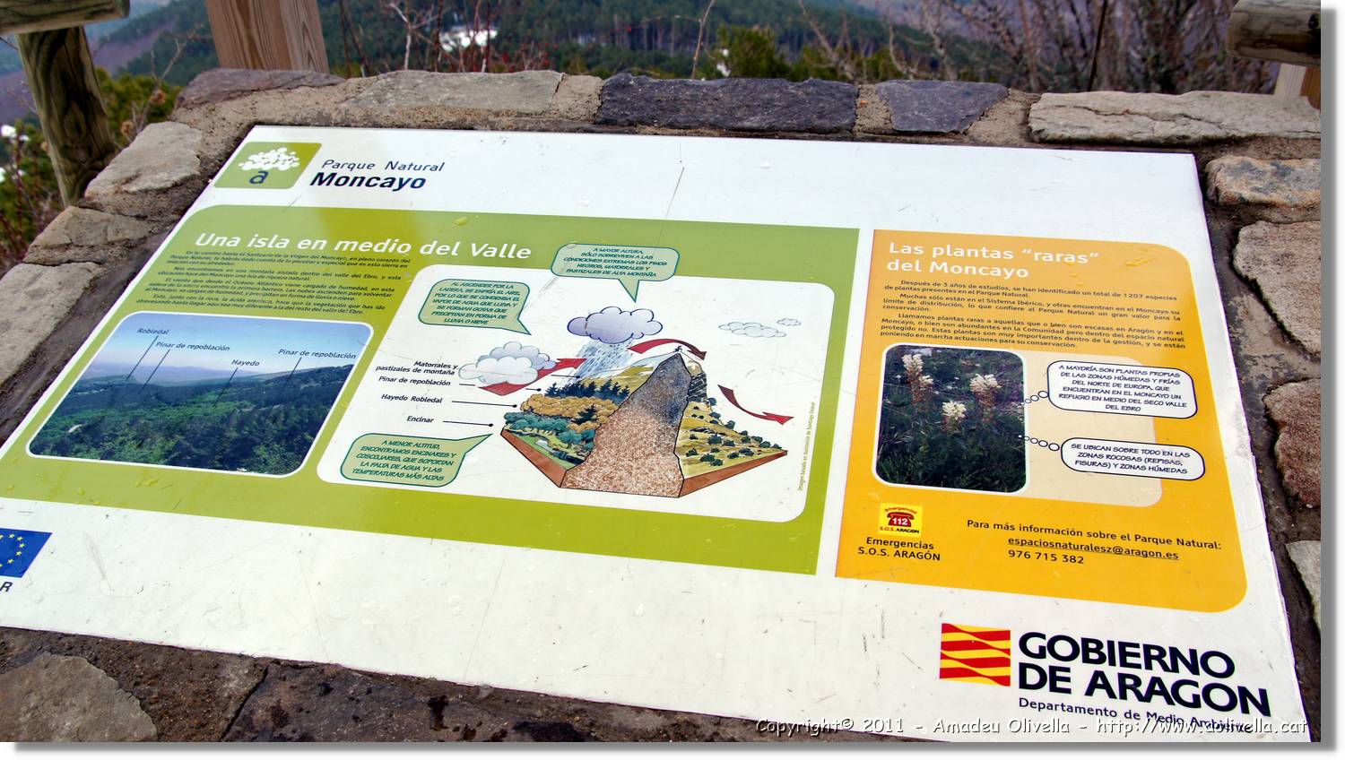 Moncayo_188.jpg