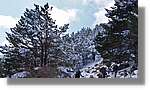 Moncayo_036.jpg