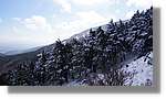 Moncayo_043.jpg