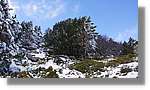 Moncayo_045.jpg