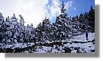 Moncayo_049.jpg