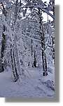 Moncayo_058.jpg
