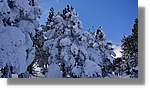 Moncayo_070.jpg