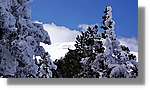 Moncayo_074.jpg