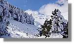 Moncayo_075.jpg
