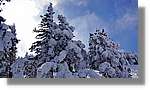 Moncayo_076.jpg