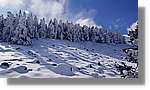 Moncayo_077.jpg