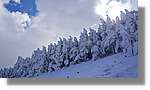 Moncayo_081.jpg