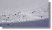 Moncayo_171.jpg