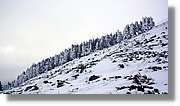 Moncayo_177.jpg