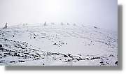 Moncayo_178.jpg