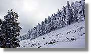 Moncayo_179.jpg