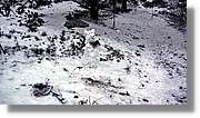 Moncayo_187.jpg