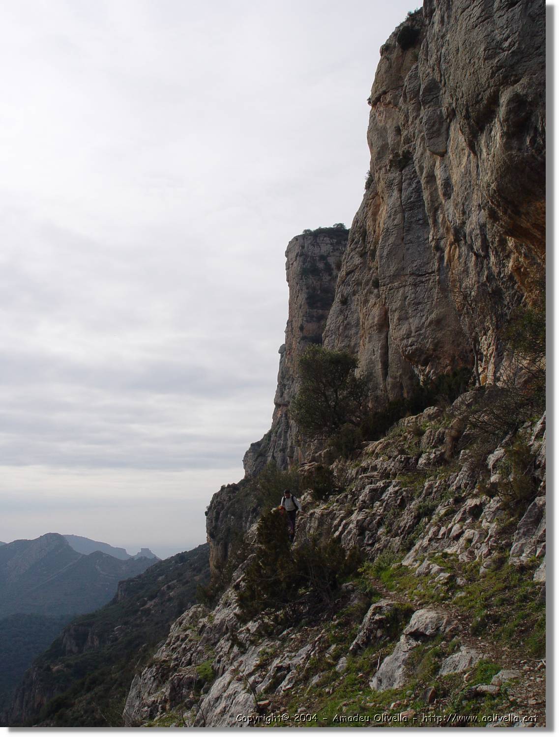 Montroig_45.jpg