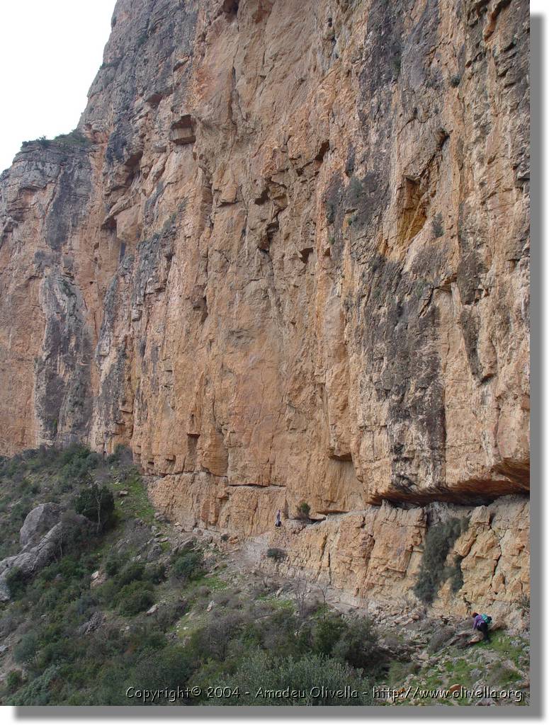 Montroig_48.jpg