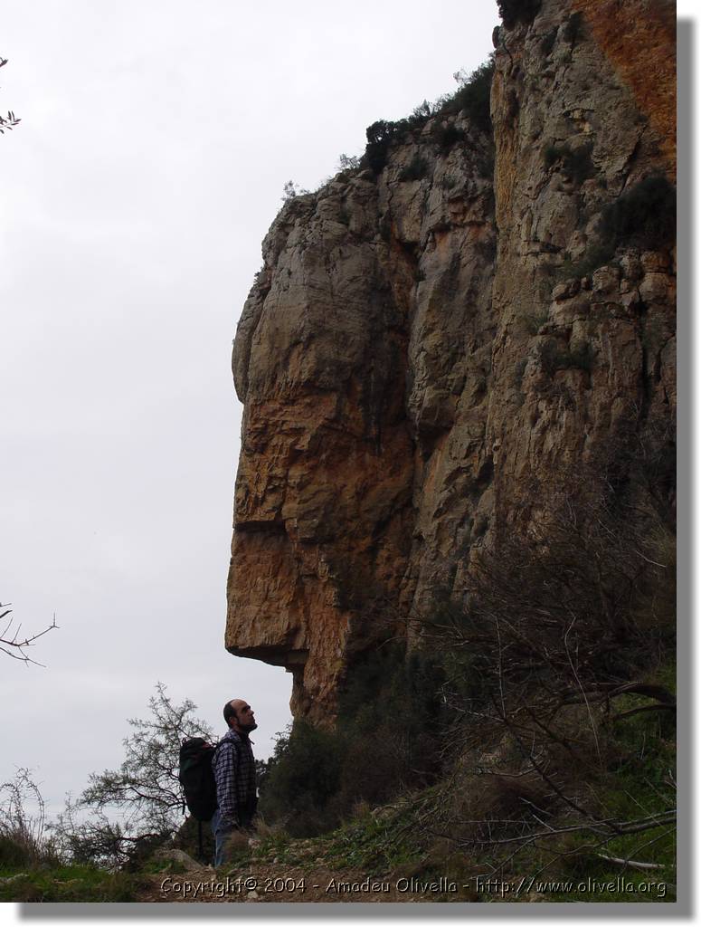 Montroig_51.jpg