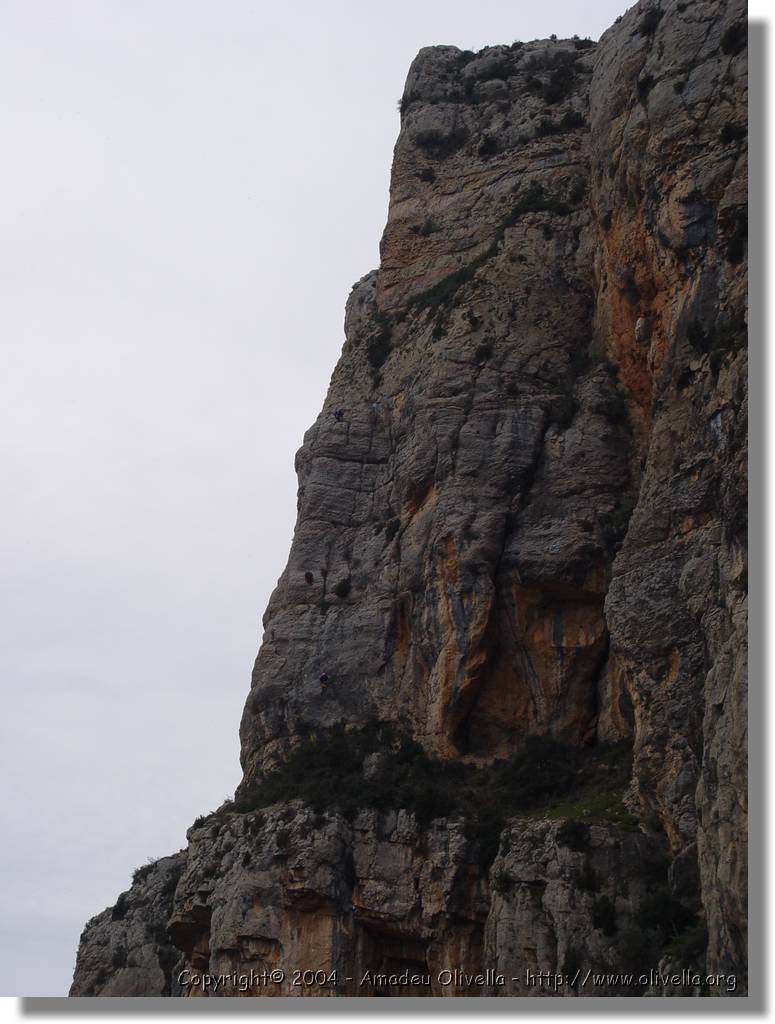 Montroig_55.jpg