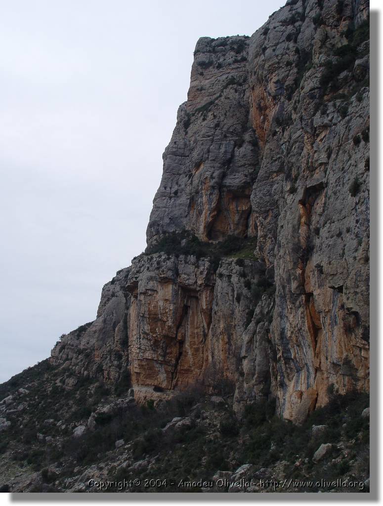 Montroig_56.jpg