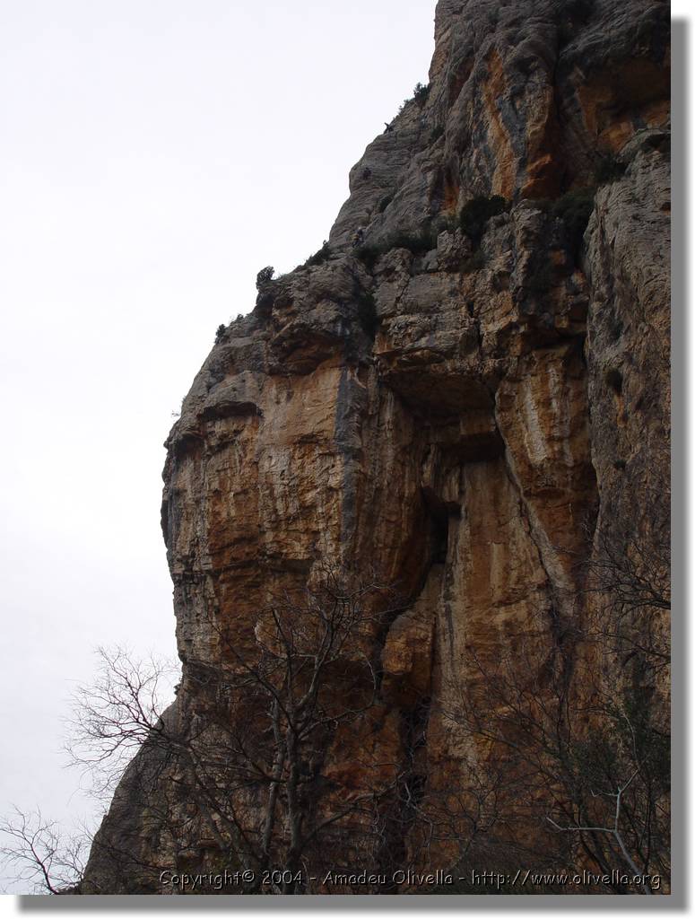 Montroig_57.jpg