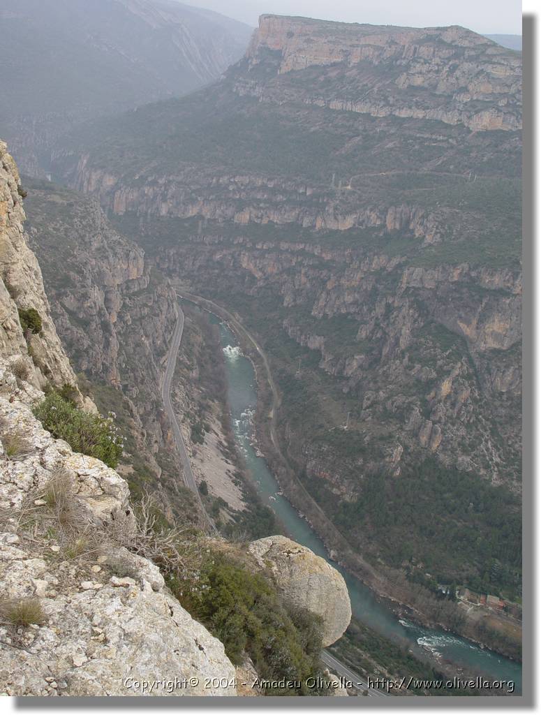 Montroig_65.jpg