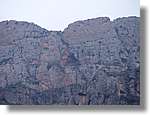 Montroig_81.jpg(102 KB)