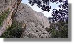 Montsant_050.jpg