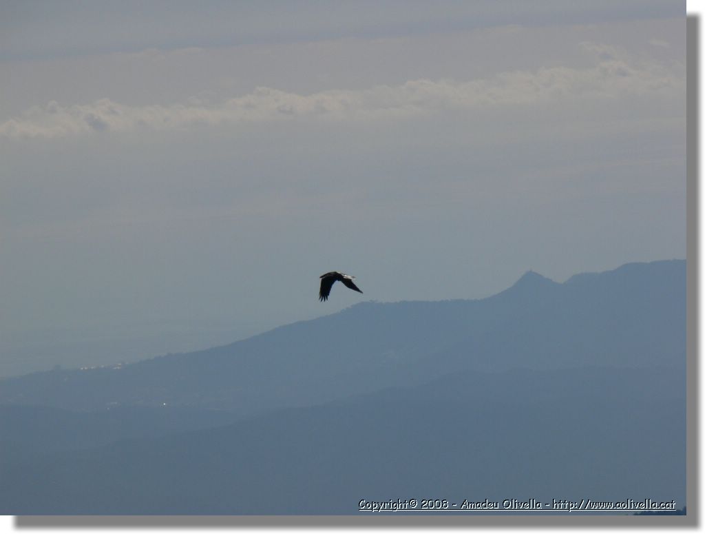 1Montseny_061.jpg