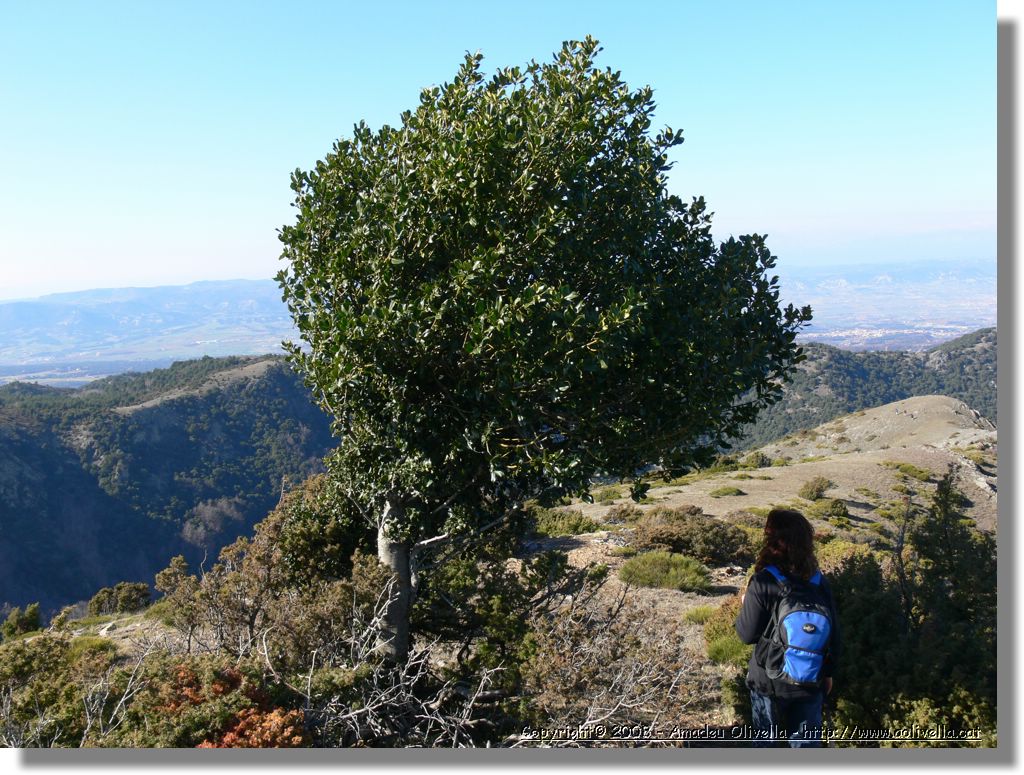1Montseny_067.jpg