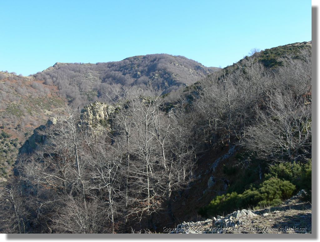 1Montseny_068.jpg