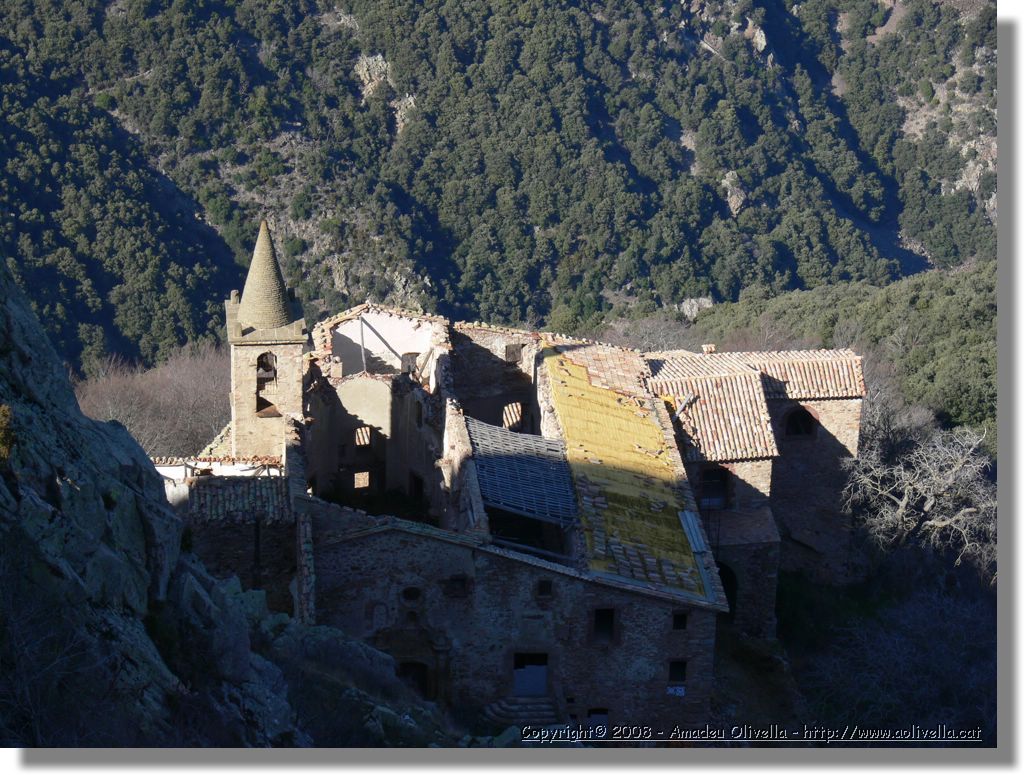 1Montseny_071.jpg