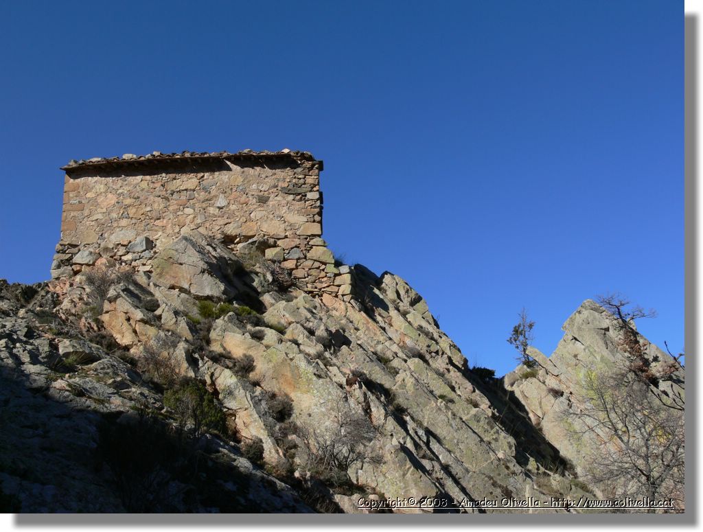 1Montseny_078.jpg